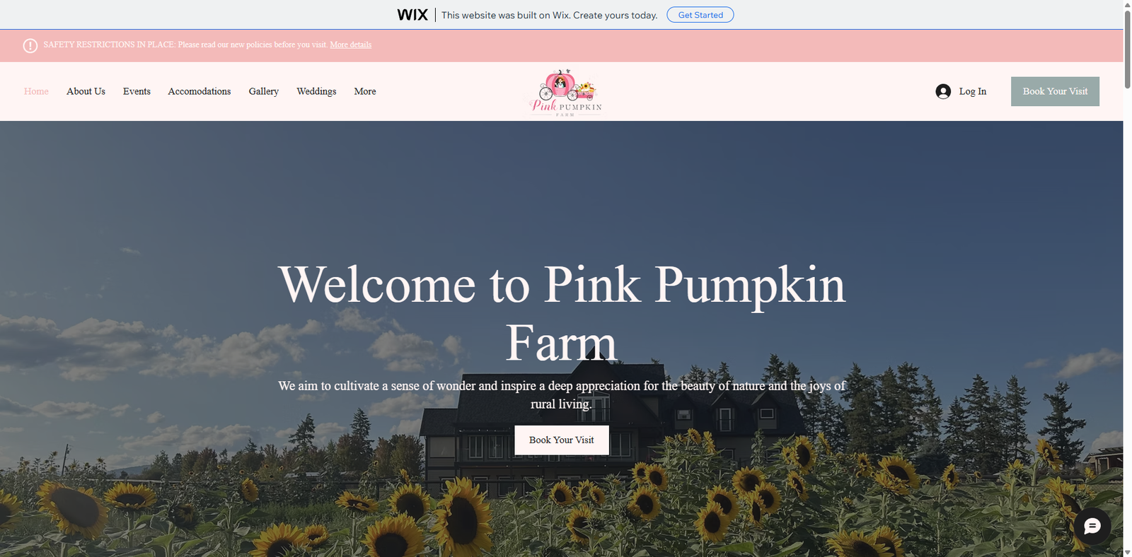 Pink Pumpkin Farm